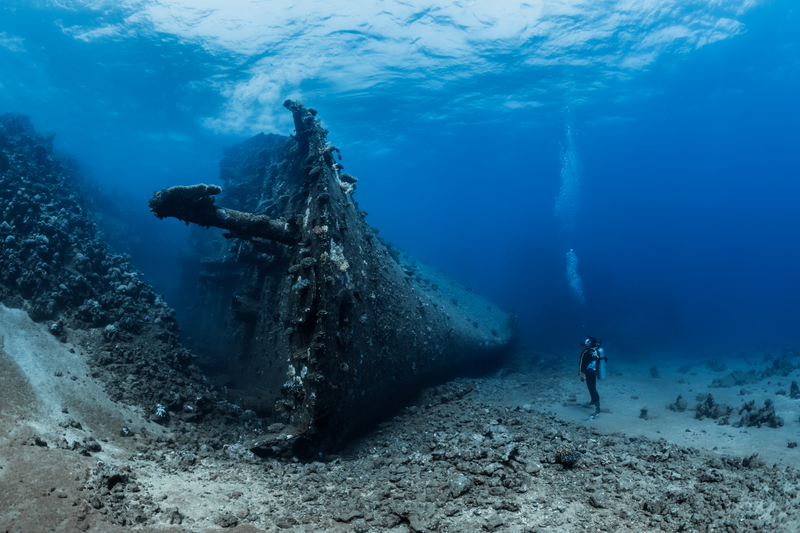 Illustration for article titled 2018's Award-Winning Ocean Photos Will Transport You to Another Planet